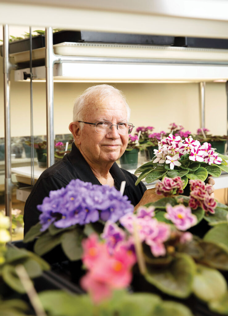 Man tending to African violets